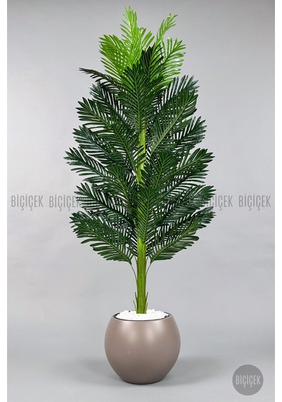 Yapay Areka Ağacı 160-180 Cm F