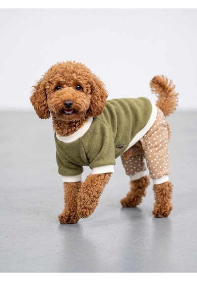 Latte & Matcha Kedi Rüyası Pamuklu Kedi Tulumu, Polar Sweatshirt Ve Mini Yastık 4 Parça