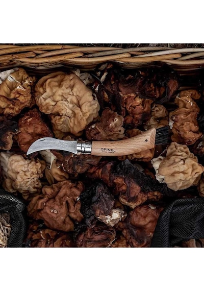 Opinel Kayın Saplı Mantar Toplama Kamp Bıçağı Çok Renkli
