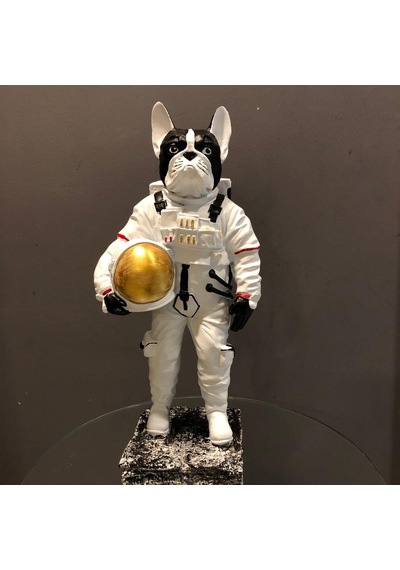 BY ARİ BULLDOG ASTRONOT BİBLO BB336-1