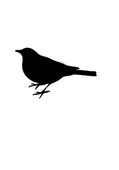 Yavru Kuş Sticker 15Cm
