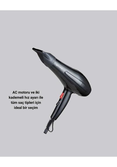 Güçlü Profesyonel Saç Kurutma Makinesi 2200 Watt Ac Motor