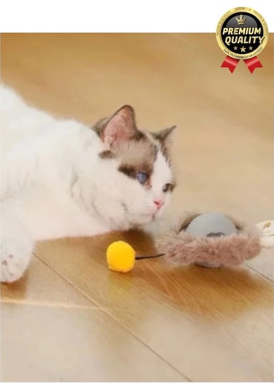 Özel Üretim Yumuşak Küçük Boyutlu Şarj Edilebilir Etkileşimli Eğlenceli Yuvarlanan Kedi Top Oyuncağı