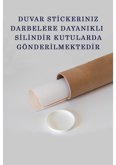 Türkçe Eğitici Ülke Ve Başkent Detaylı Atlası Dünya Haritası Duvar Sticker -60x105-3831 Çok Renkli