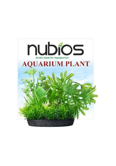 Nubios Kare Tabanlı Plastik Bitki 10 Cm