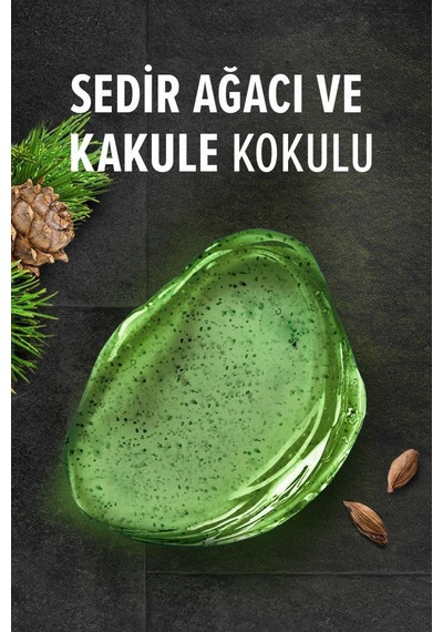 Palmolive Men Sedir Ağacı ve Kakule Kokulu 5in1 Erkek Duş Jeli﻿﻿ 250 ML