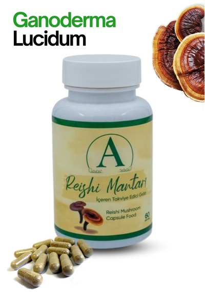 Ayoslife Reishi 60 Kapsül