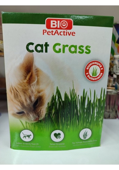 Bio Pet Active Kedi Çimi Yeni