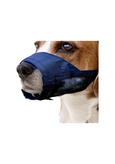 Kiwi 10402 Bez Köpek Ağızlığı
