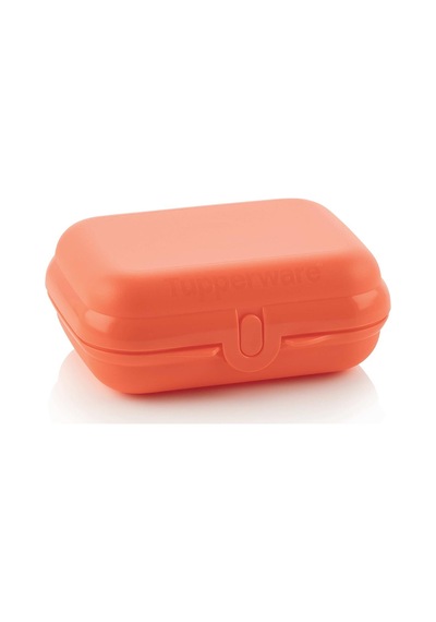Tupperware Eco+ Küçük Taşıma Kabı Turuncu
