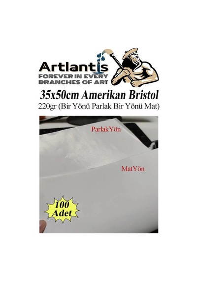 Amerikan Bristol Karton 35x50 Cm 100 Adet 220 Gr Bir Tarafı Parlak Bir Tarafı Mat Kağıt Biristol Karton