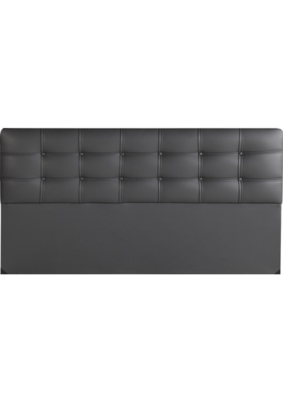Sunsayatak Sünsa Menekşe Başlık 160 Cm