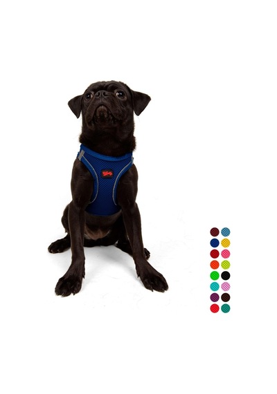 Tailpetz Air-mesh Küçük Ve Orta Irk Kedi Köpek Göğüs Tasması - Yumuşak, Nefes Alabilir, Dayanıklı Saks, Medium Sku: Zeusb0b828qc2g Açık Bej - Bej Tailpetz Air-mesh Küçük Ve Orta Irk Kedi Köpek Göğüs Tasması - Yumuşak, Nefes Alabilir, Dayanıklı Saks, Medium Sku: Zeusb0b828qc2g Açık Bej - Bej