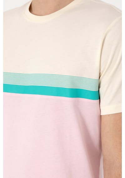 U.S. Polo Assn. Erkek Regular Fit Bisiklet Yaka Açık Pembe Tişört 50306899-VR078