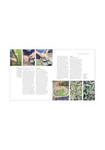 The Complete Gardener: A Practical, İmaginative Guide To Every Aspect Of Gardening