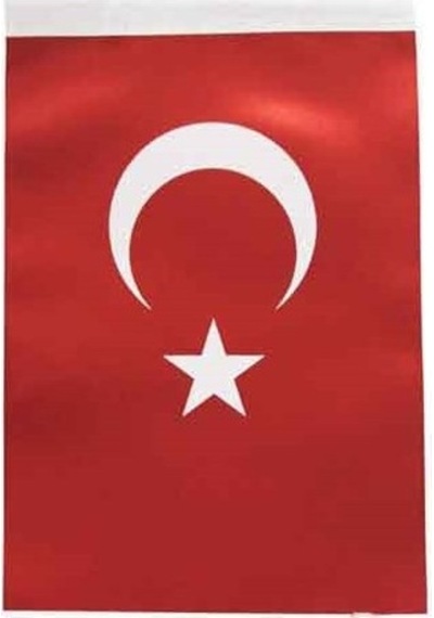 BUKET BAYRAK 20X30 BKT-101 - (10 Adet)