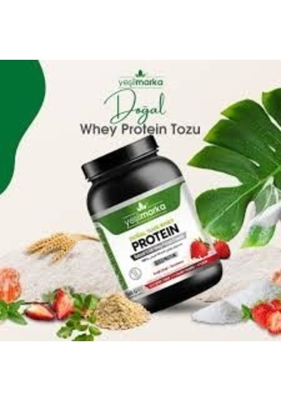 Yeşil Marka Ereğli Çileği Protin Tozu 748