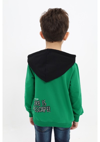Toontoy Kids Toontoy Erkek Çocuk Relax Fit Kapüşonlu Cepli Renk Bloklu Baskılı Sweatshirt - 2 İplik Çimen Yeşili