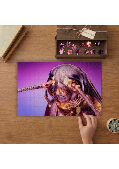 Yakın Çekim Hamam Böceği Tasarımı 240 Parça Ahşap Puzzle Ahşap Kutuda Mpy40486