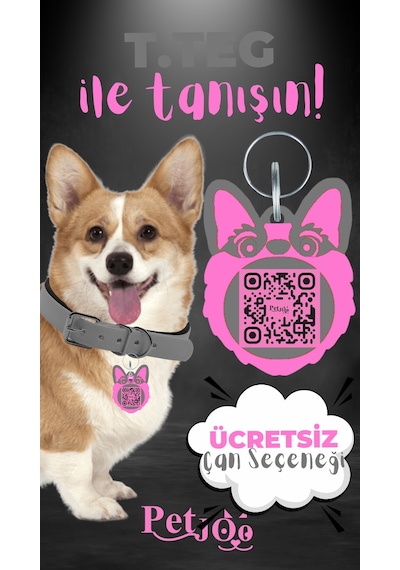 Petjoo 15.T.Teg Pembe-Gri Qr'lı Köpek Künyesi