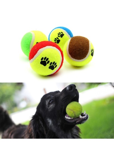 3&amp Apos Lü Renkli Desenli Tenis Topu Kedi Köpek Oyuncağı 5639