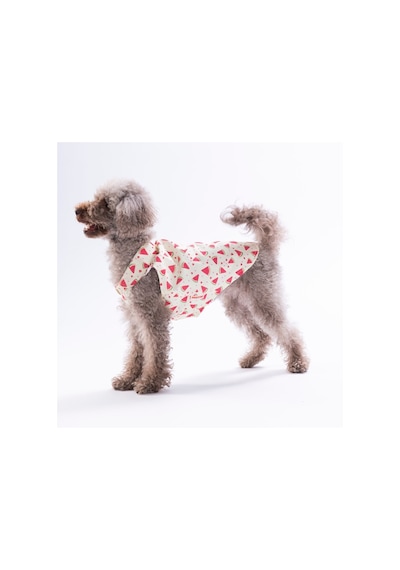 Berry Crush Meyve Desenli Kedi Köpek Gömleği-kedi Köpek Kıyafeti-kedi Gömlek-köpek Gömlek