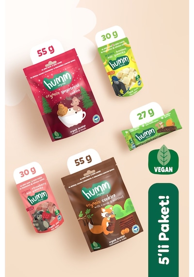 Hummorganic Organik Vegan Ara Öğün Atıştırmalık Paketi- 5 adet (5 çeşit)