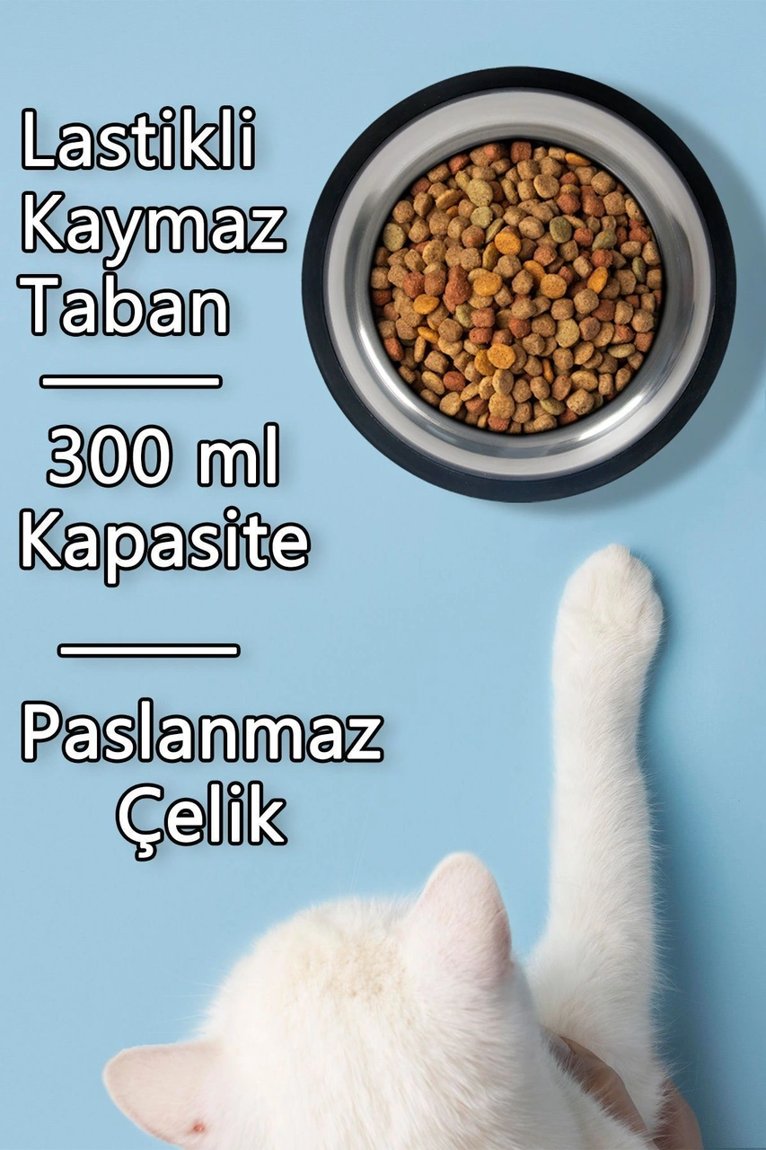 2 Adet Kedi Köpek Mama Ve Su Kabı Çelik Kase 300 Ml