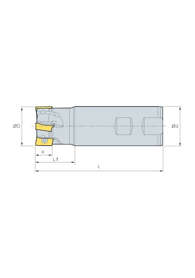 Mertsan Saplı Tarama Freze Kafası D025-3, 25x110 Mm Takım Ölçüsü, 3 Adet Apkt 0903 Kesici Uç Kullanır - 1 Adet