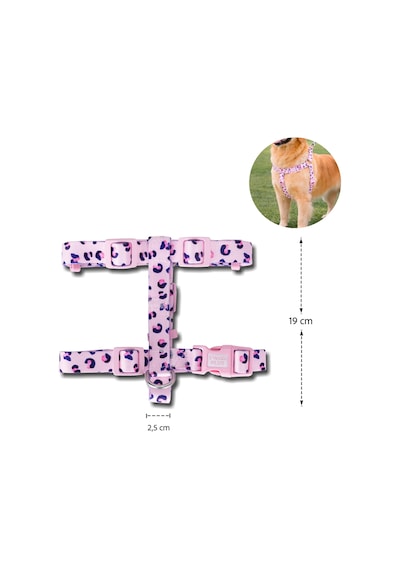 Swissplus Urban Paws Pink Leo Geri Dönüştürülmüş H-tipi Köpek Göğüs Tasması-2xl Pembe - Pudra