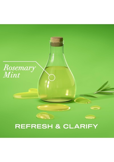 Refreshing Scalp+ Rosemary Mint Arındırıcı Sülfatsız Saç Bakım Kremi 385 Ml