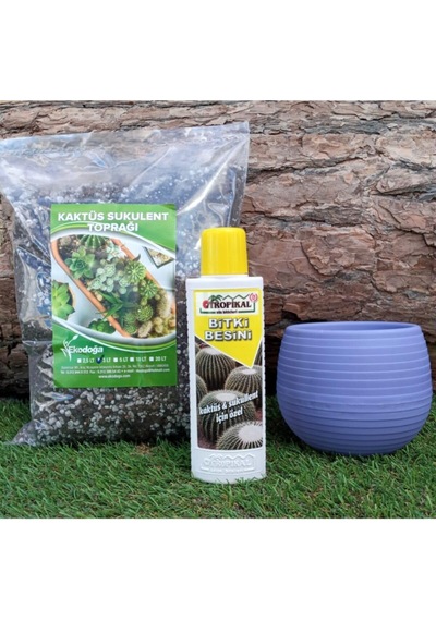 Tropikal Kaktüs Besini 225 Ml Sıvı Gübre + 3 Lt Toprağı + 0,55 Lt Lila Saksısı, 3'lü Set