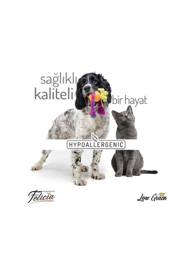 Az Tahıllı Sterilised Somonlu Kedi Maması 12 Kg