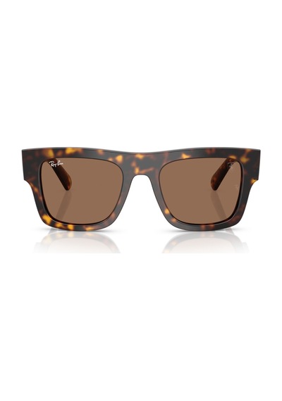 Ray-Ban Güneş Gözlüğü Rb2217m 53 F61373 Kahverengi