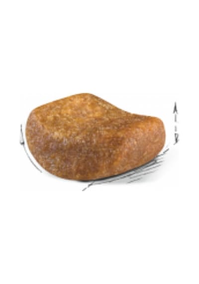 British Shorthair Yetişkin Kedi Maması 2 Kg 2 Adet Pouch Hediyeli