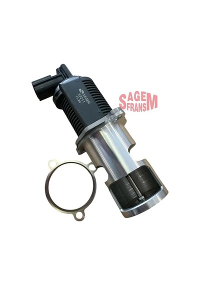 Egr Valfi Espace Iıı-ıv-laguna Iı-trafıc Iı-master