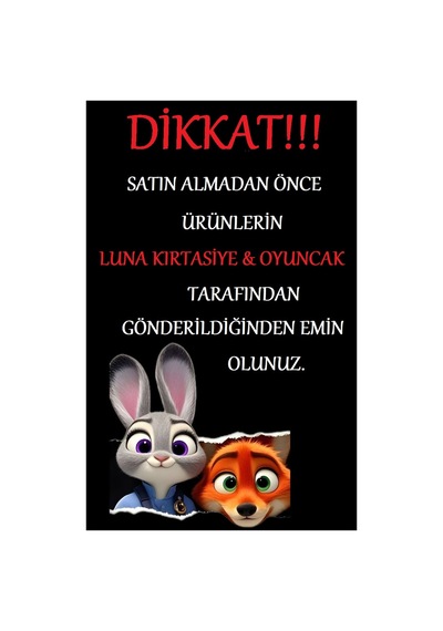20 Cm Cetvel Seti Rengarenk
