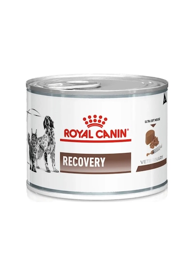 Recovery Kedi & Köpek Sı 195gr Kedi Ve Köpekler İçin Beslenme Desteği
