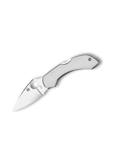 Spyderco Dragonfly Stainless Plainedge Kamp Çakı Gümüş