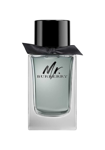 Burberry Mr. Burberry Erkek Parfüm EDT 100 ML