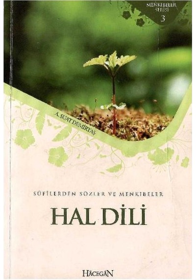Hal Dili - Sufilerden Sözler Ve Menkıbeler - Abdullah Suat Demirtaş