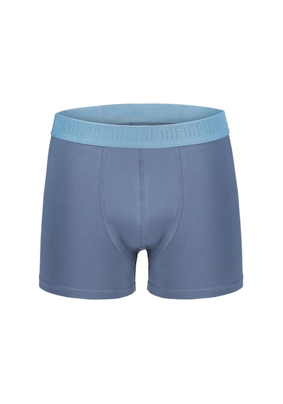 Efsi 3019 Erkek Boxer 001