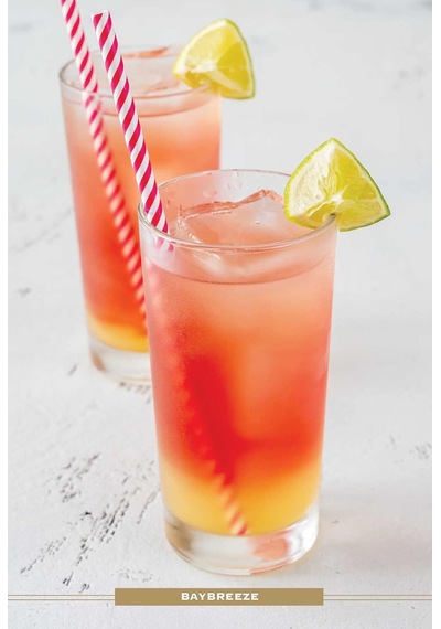Vodka Cocktail Cards A Z: The Ultimate Drink Recipe Dictionary Deck
