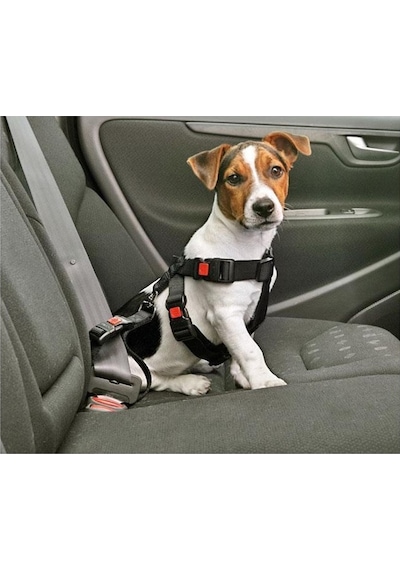 Karlie Köpek Araç Emniyet Kemeri S 35-50 Cm Siyah