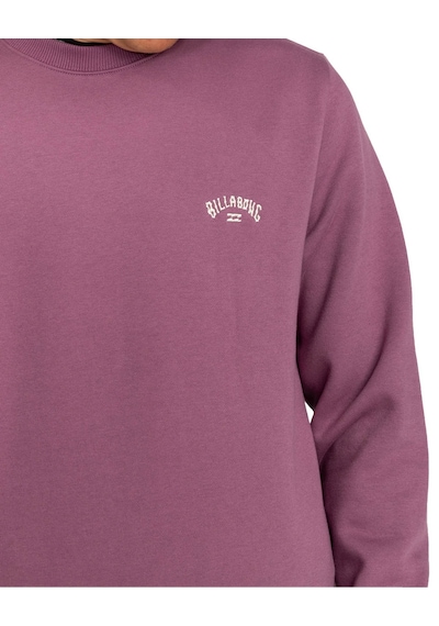 Billabong Arch Erkek Sweatshirt Mor Çok Renkli