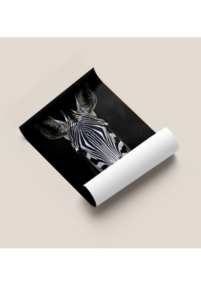 Çerçevesiz Poster - Dijital Baskı - Zebra