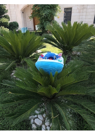 40 Cm Buket Çiçek Şeklinde Hello Kitty Stitch Stiç Peluş Oyuncak Hediye Mavi