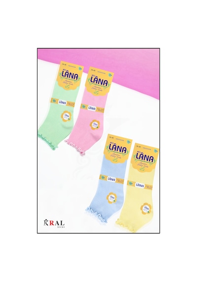 Kral Socks Kadın Bambu Çorap 5 Çift Renkli Hediye Kutulu Patik Kadın Çorap ASORTİ