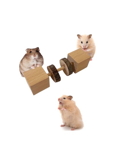 Doğal Ahşap Hamster Kemirme Oyuncak - Diş Sağlığı Bulmaca Besleyici