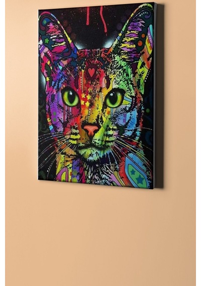 Webstyle Sayılarla Boyama Seti Kasnaklı Semfonik Kedi 40 X 50 Cm